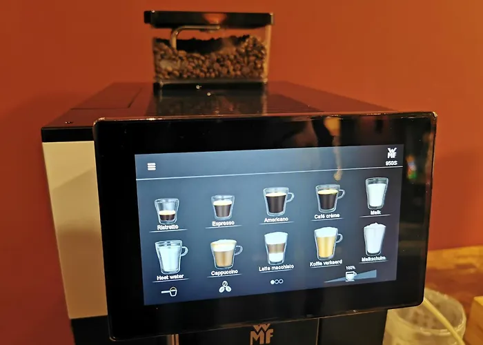 住宿加早餐酒店 Parkzicht